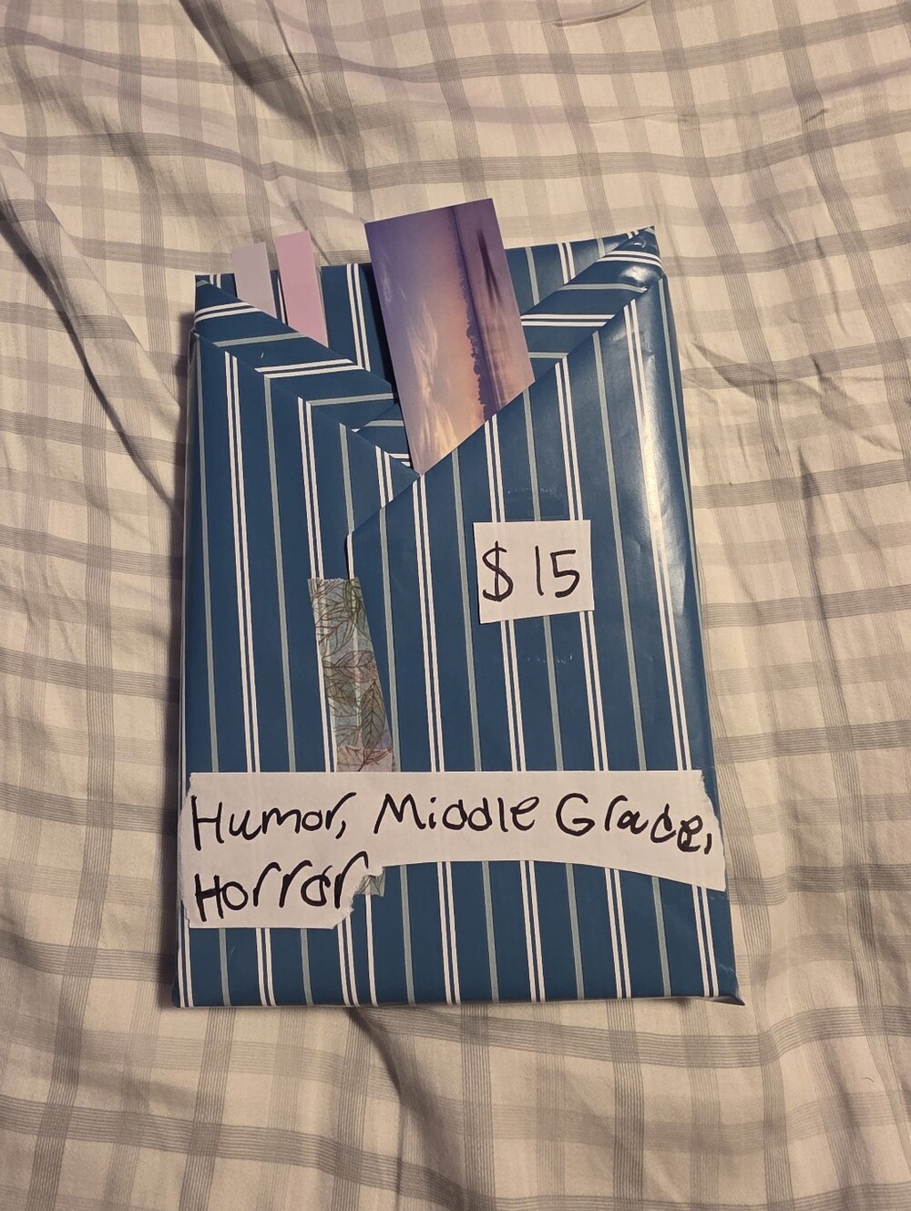 Blind Date With A Book